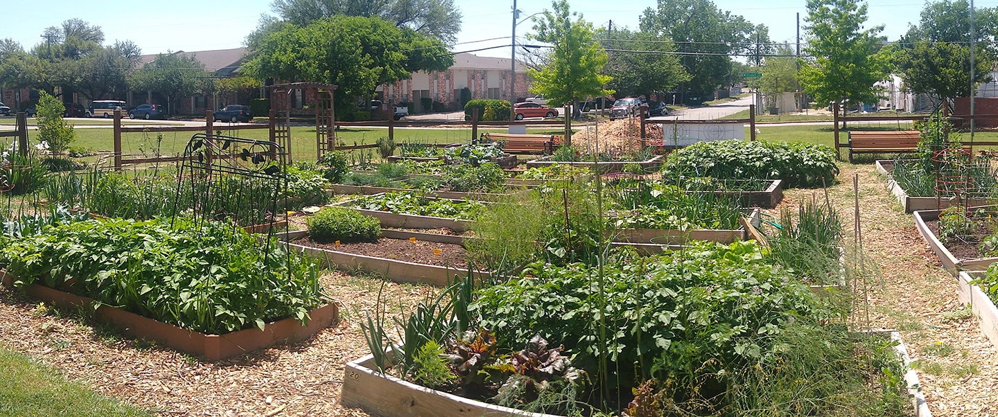 Jubilee Garden