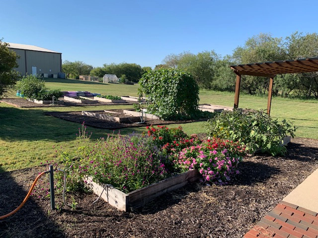 Mansfield Mission Clinic Garden