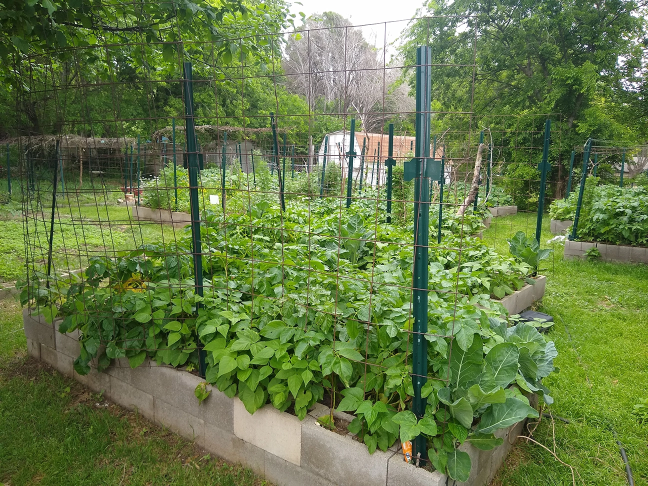 Neighborhood Needs Garden