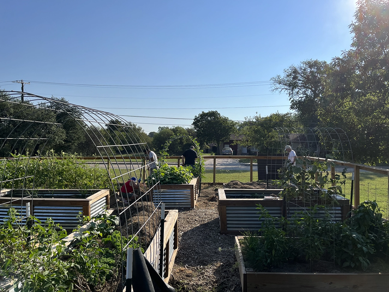 St. Francis of Assisi Garden