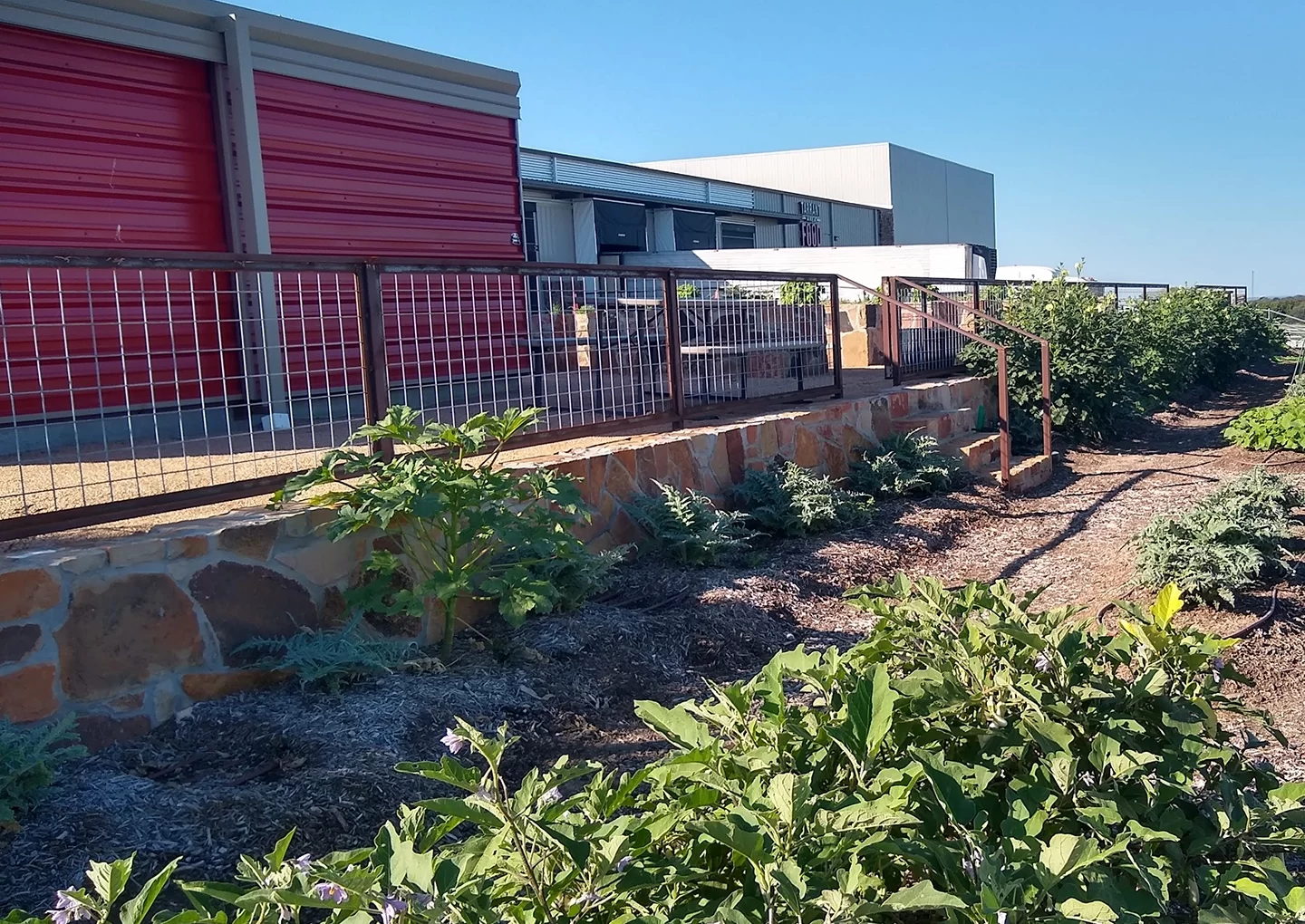 Tarrant Area Food Bank West Garden